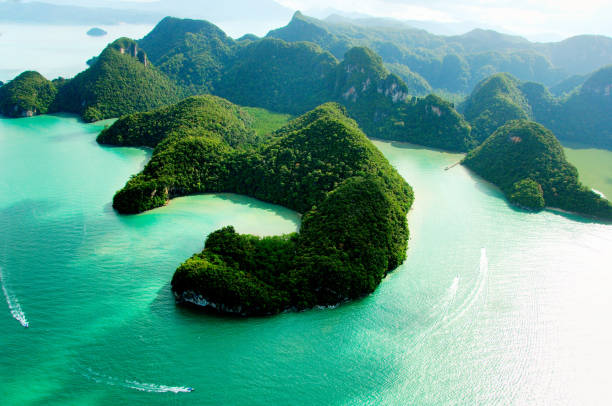 Essential Travel Tips for Visiting Malaysia