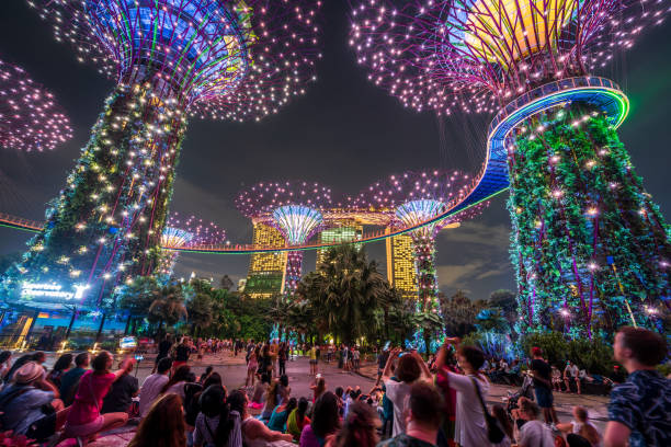 Why External Links Are Vital for Ranking on Google Singapore