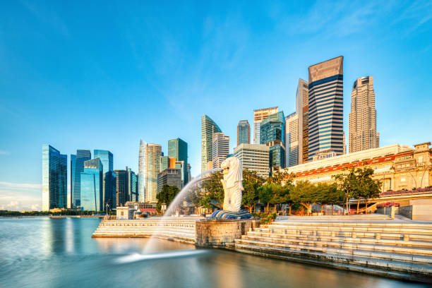 Get Indexed Fast: How Local Listings Speed Up SEO in Singapor